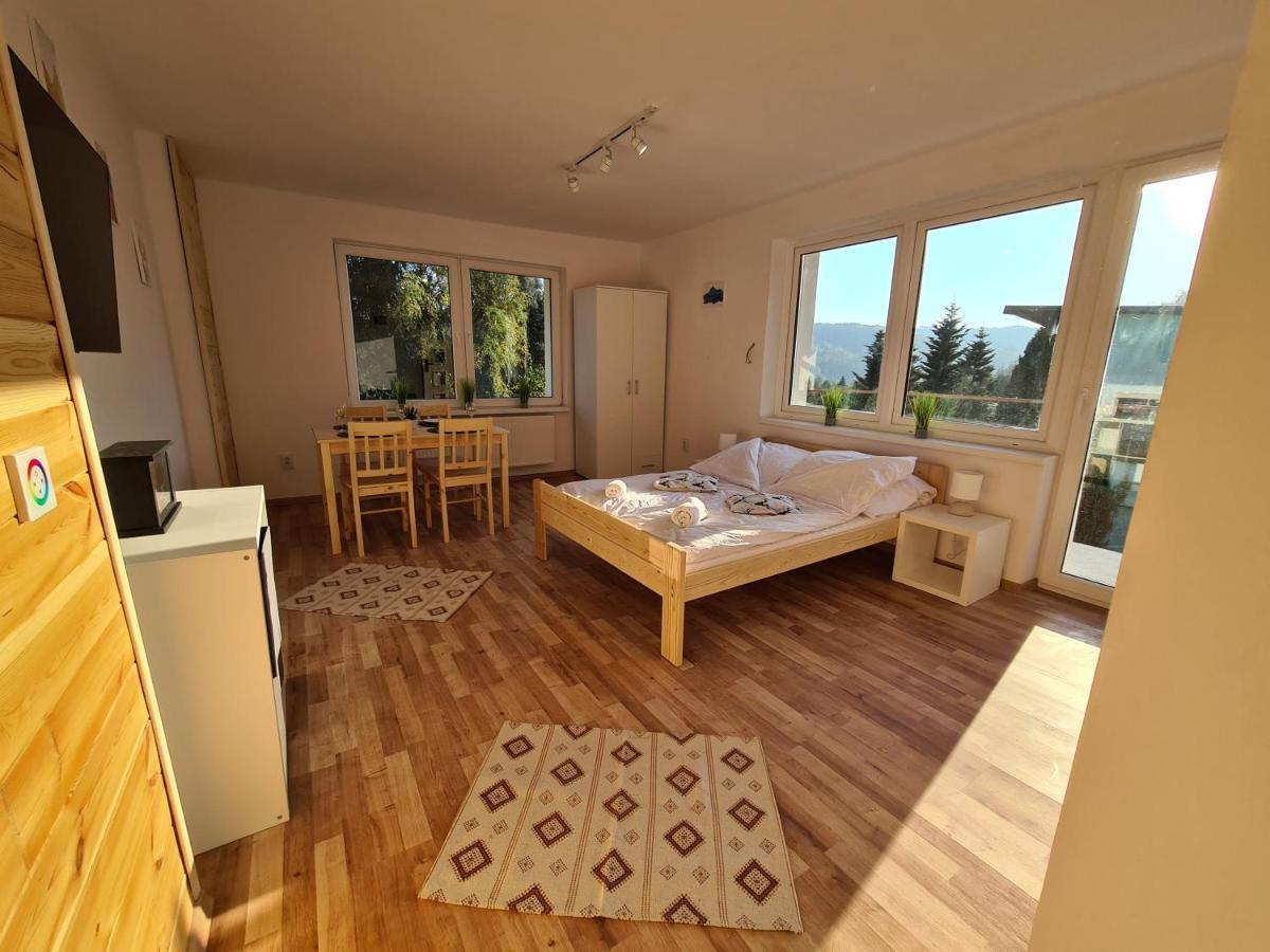Apartamenty Willa Naskarpie Jacuzzi Sauna Basen Visla Exteriér fotografie