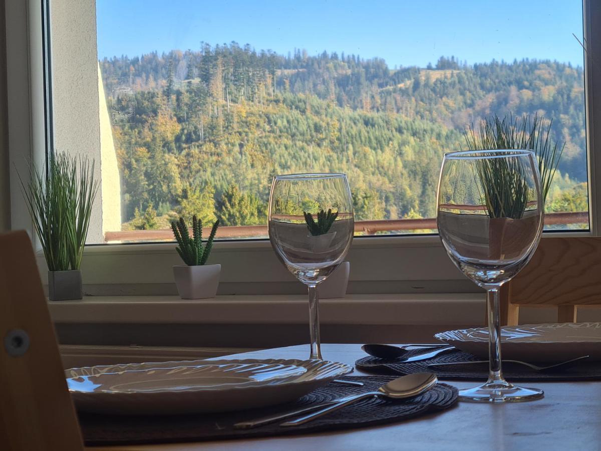 Apartamenty Willa Naskarpie Jacuzzi Sauna Basen Visla Exteriér fotografie