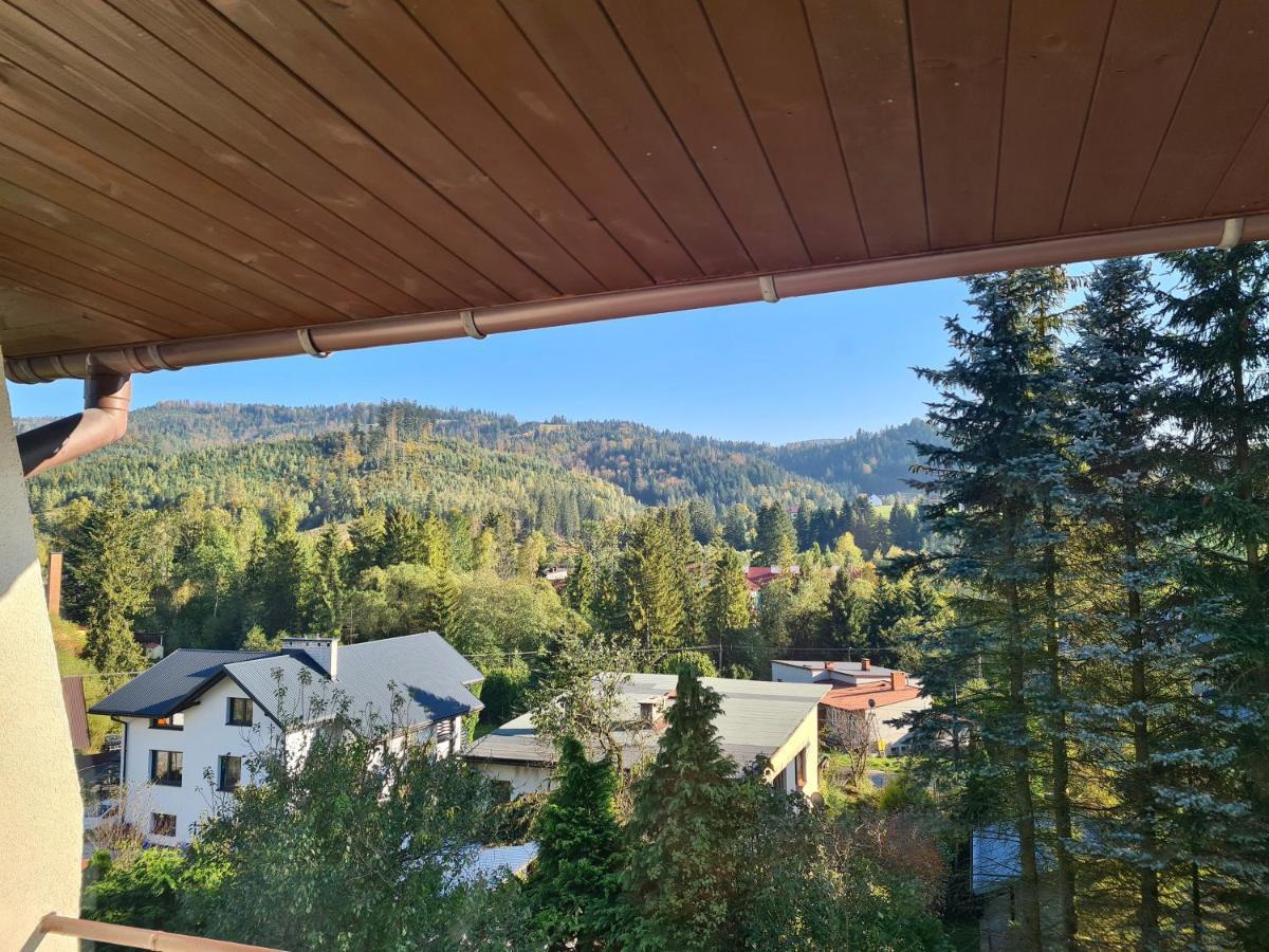 Apartamenty Willa Naskarpie Jacuzzi Sauna Basen Visla Exteriér fotografie