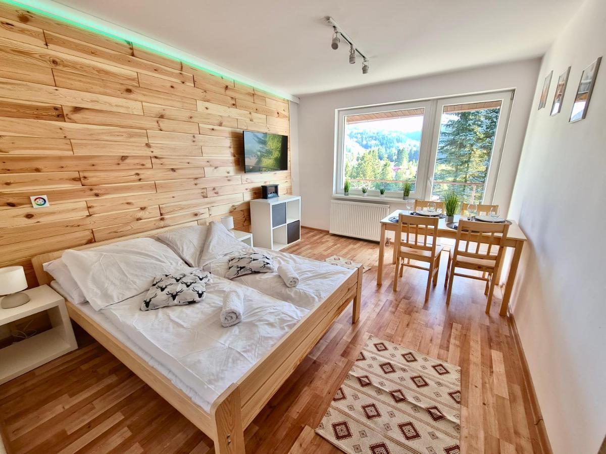 Apartamenty Willa Naskarpie Jacuzzi Sauna Basen Visla Exteriér fotografie